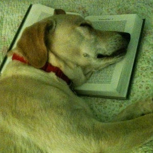 Meet your Posher, Jerri